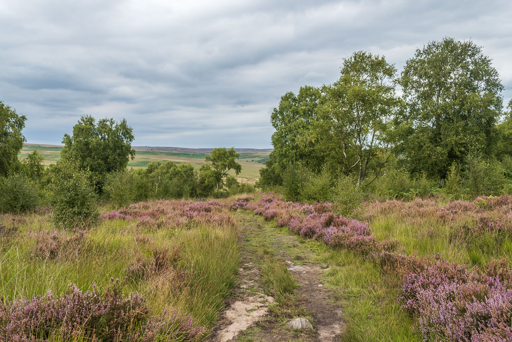 Big Moor Big Moor